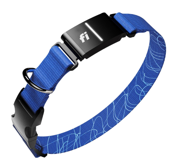 Fi Series 3 Smart Collar showing stainless steel frame