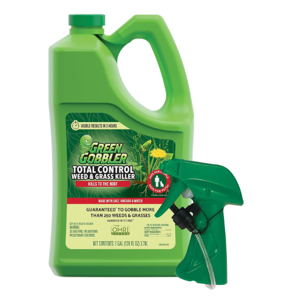 Green Gobbler Vinegar jug