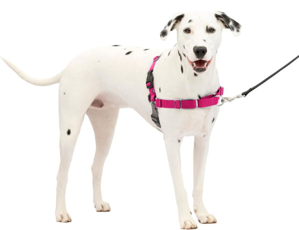 PetSafe Easy Walk Harness with front-clip martingale loop