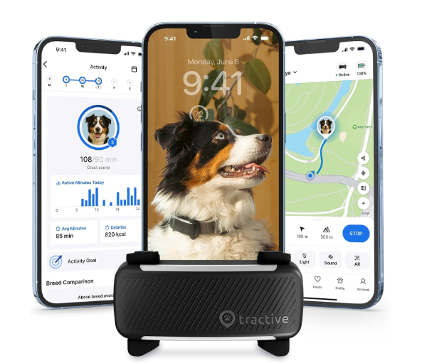 Tractive GPS Dog 4 tracker clipped to a collar
