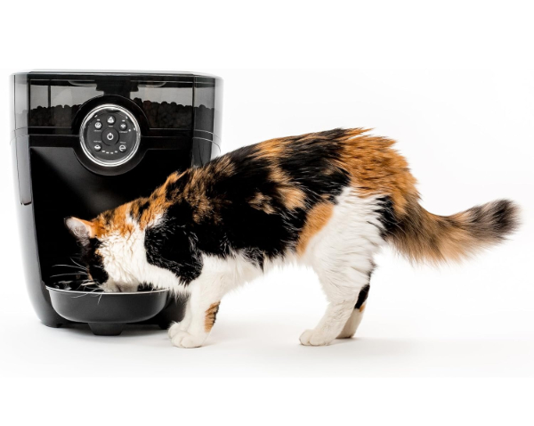 Whisker Feeder-Robot in Black